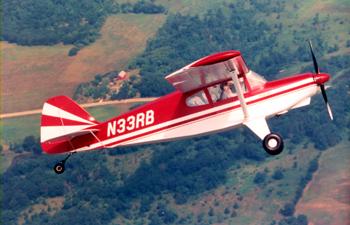 Bearhawk (Wing Kit)
